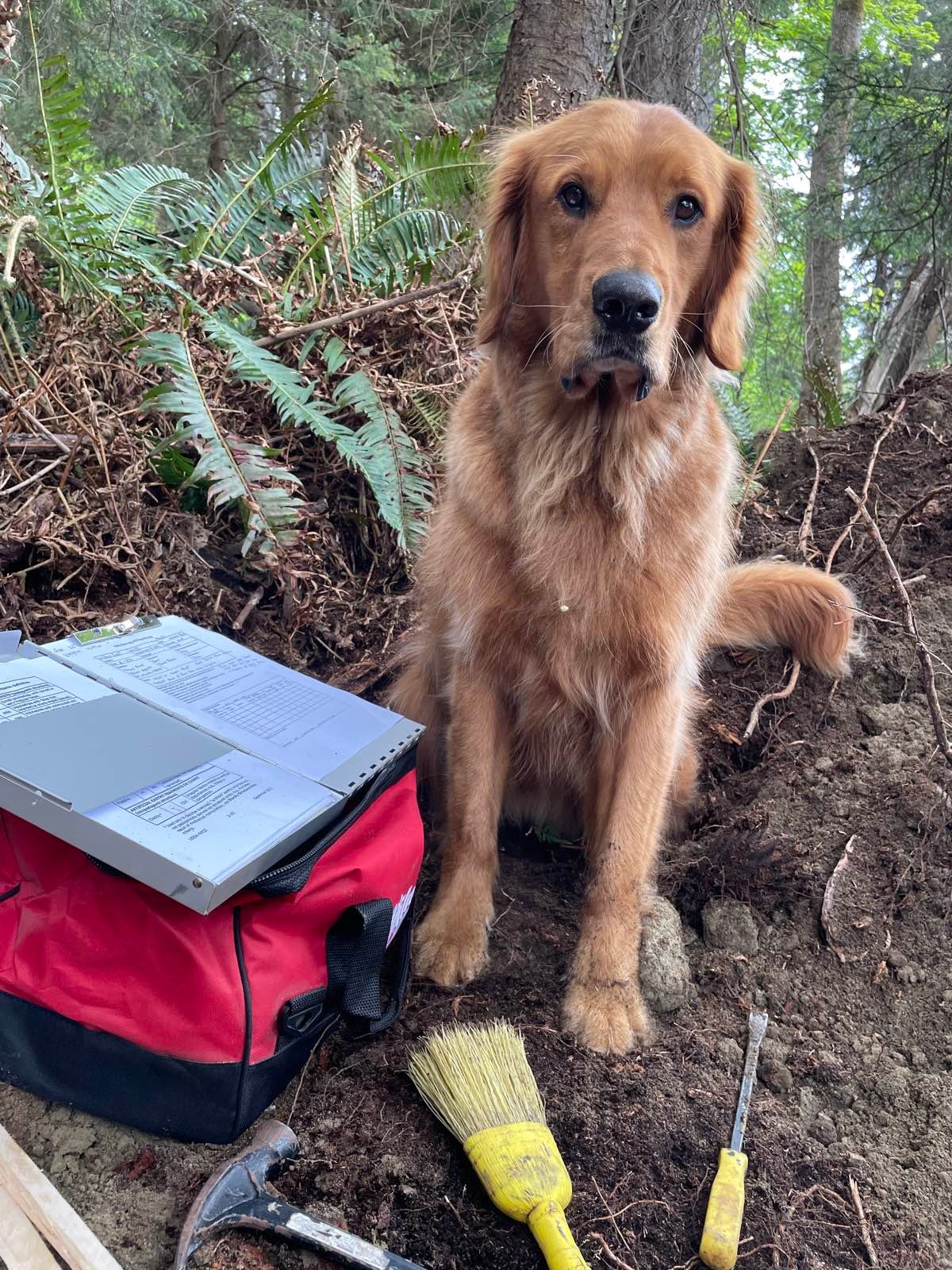 Reid on site with excavator