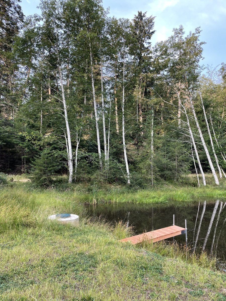 Restored property around the pond showing grassed contours shaped from excavated material