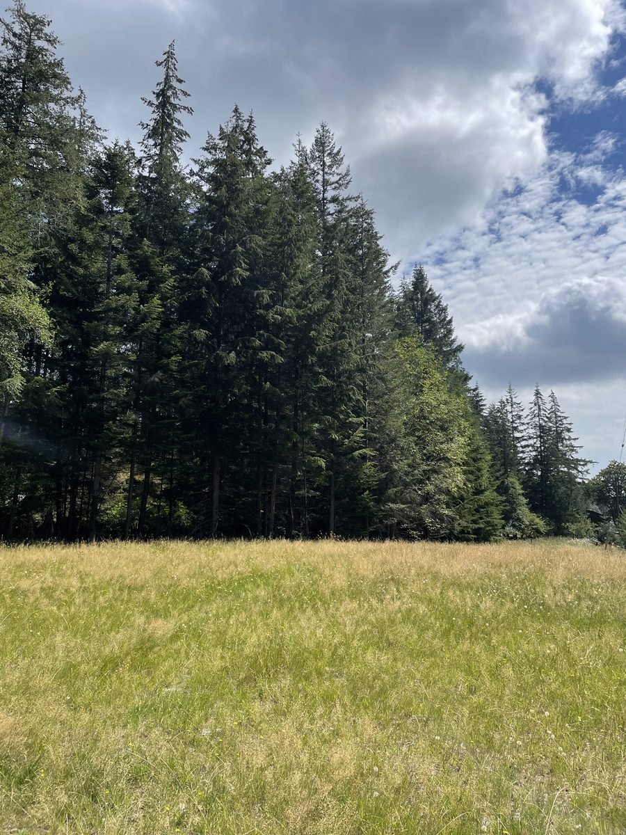 Restored grassed contour on Vancouver Island property where excavated pond material was placed and capped with topsoil