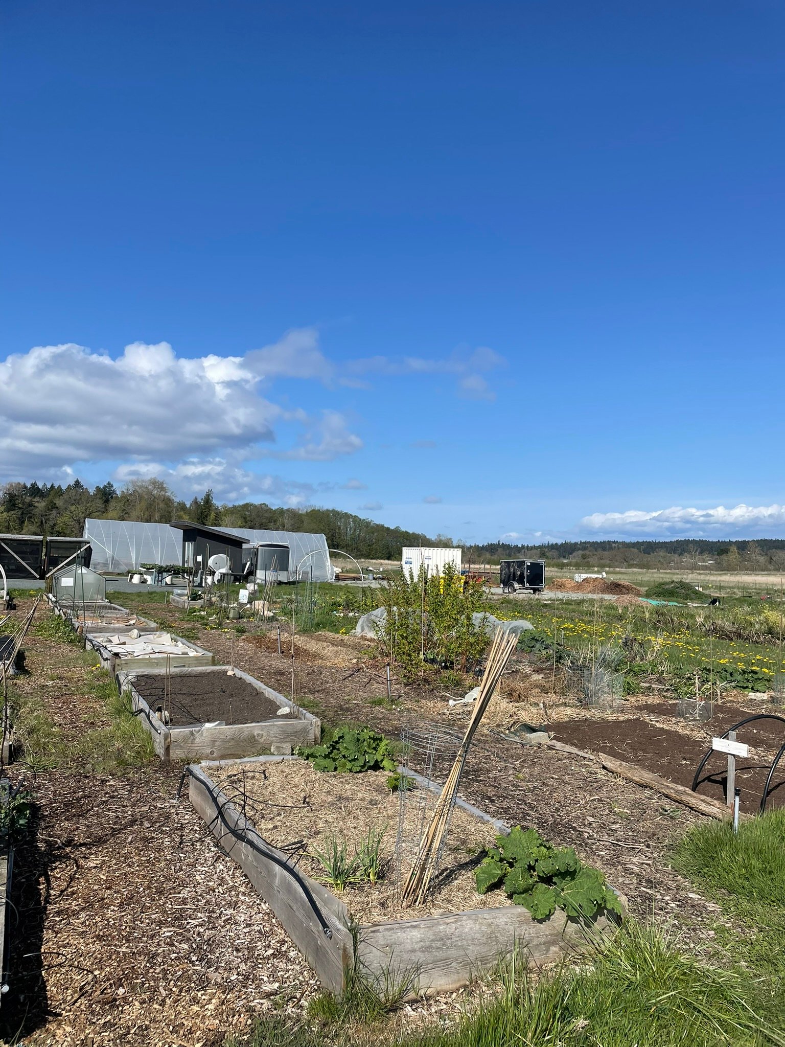 Small-scale food production on Vancouver Island