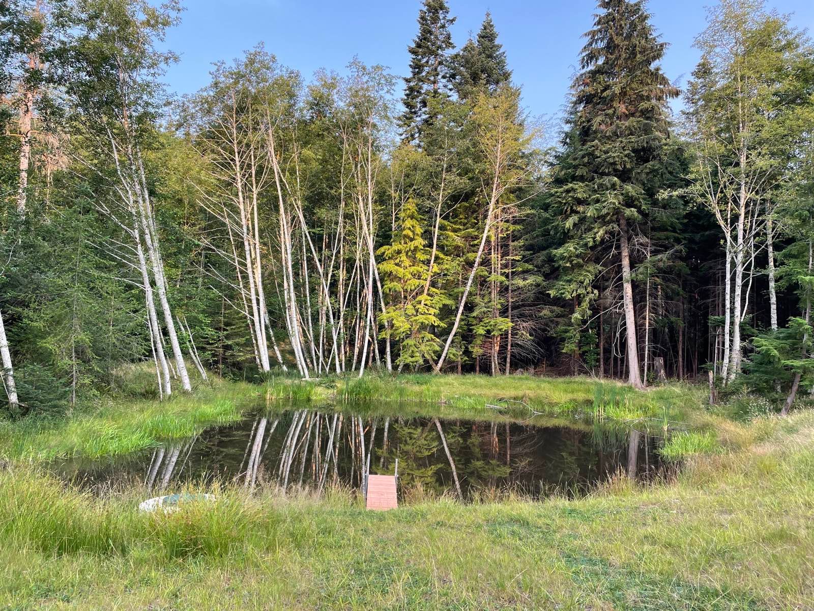 Food forest and garden beds on prepared ground