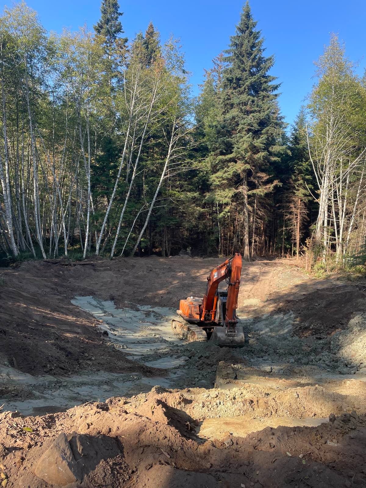 Pond and swale system on Vancouver Island property